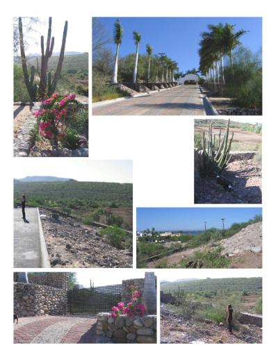 Lots/Land For sale in Mexico